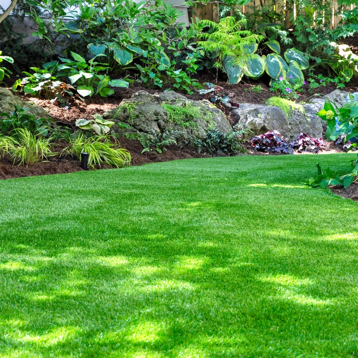 Tewantin garden by Tom Dunlop