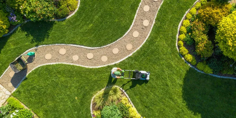 Tewantin garden by Tom Dunlop