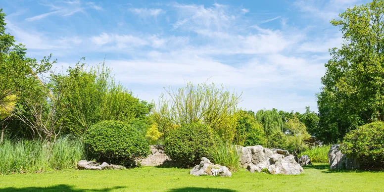 Tewantin garden by Tom Dunlop